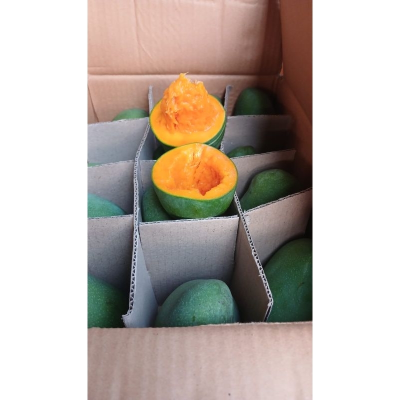 

Mangga Alpukat 5kg