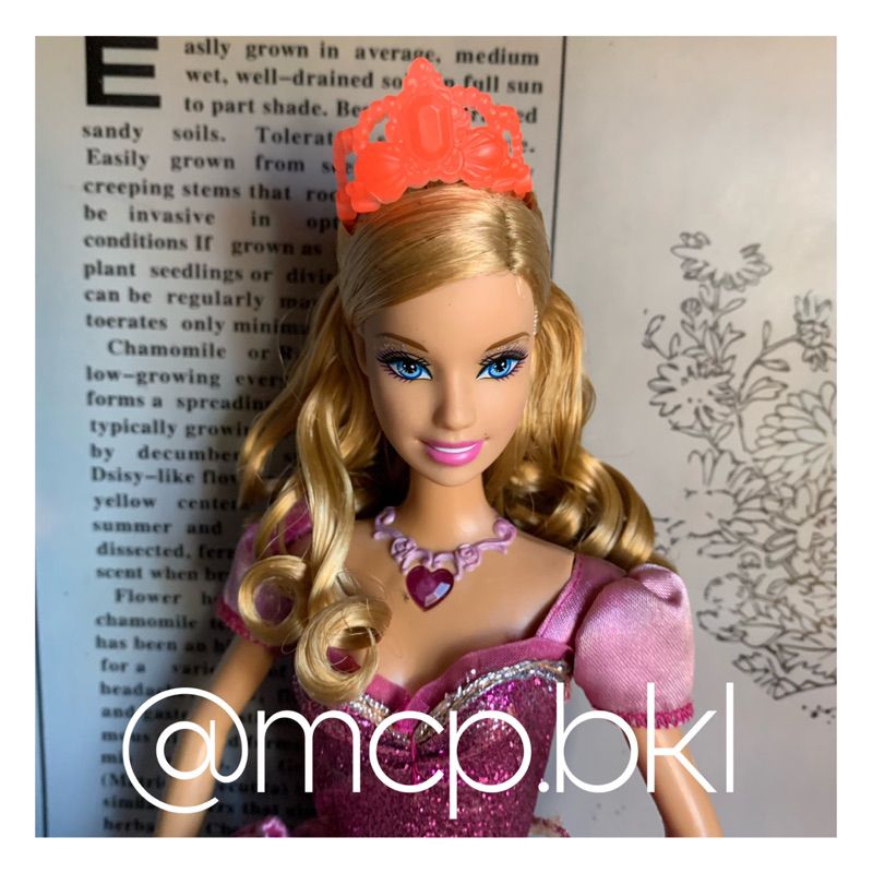 Barbie Liana from Diamond Castle Movie Preloved