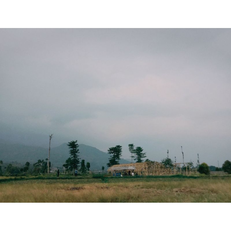 oldroll premium via Gdrive