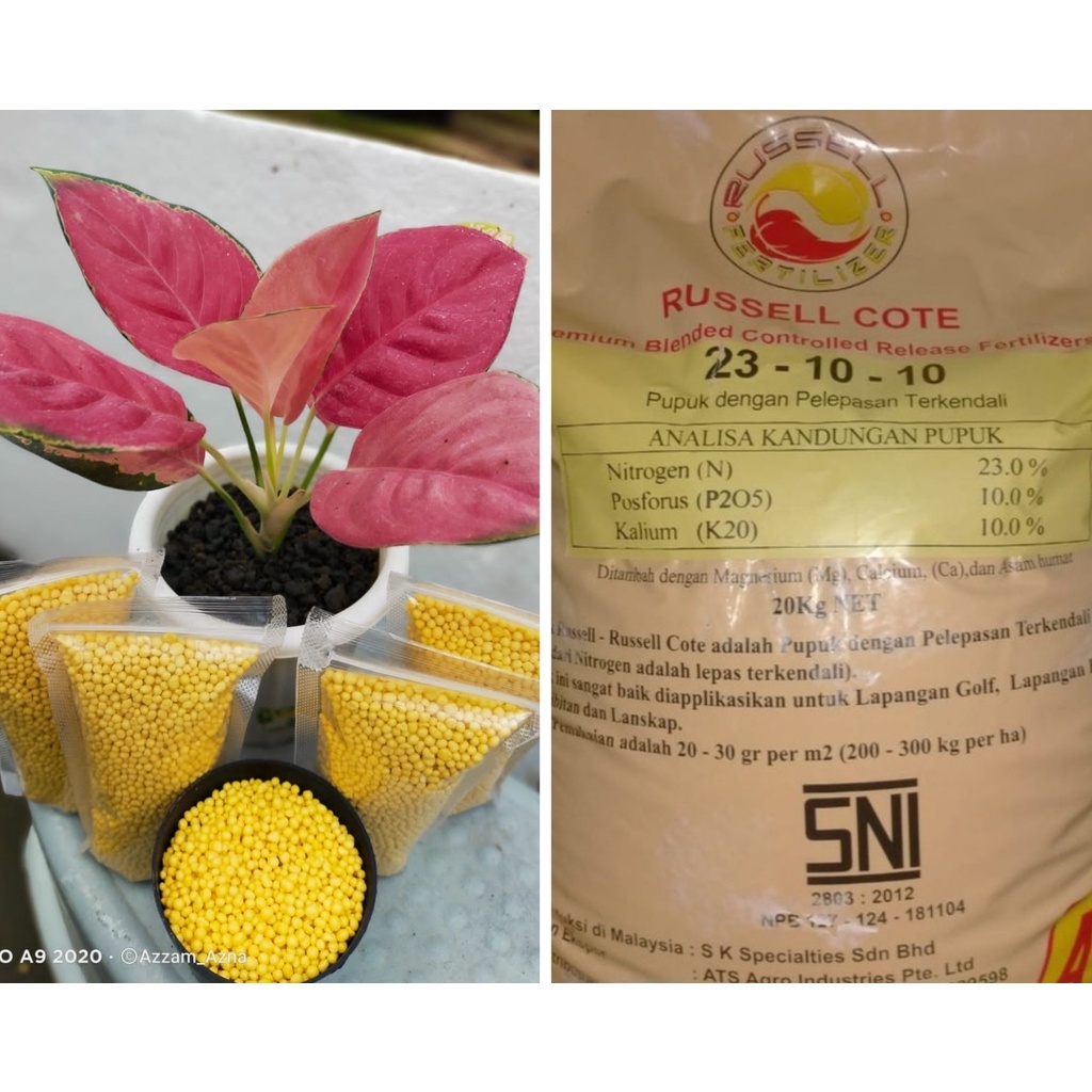 ❤[PROMO MURAH]❤Pupuk Russel cote 500 gram Pupuk Osmocote 23-10-10 / Pupuk Russel cote aglonema untuk