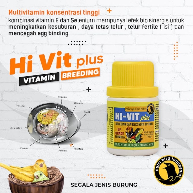 HI VIT Plus Vitamin Untuk Memaksimalkan Hasil Breeding Burung