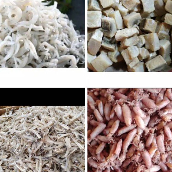 

D2289 Ikan Asin Jambal Roti Peda Merah Cumi Asin Ebi Teri Nasi Medan Teri jengki