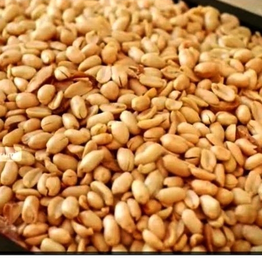 

Kacang Bawang 1kg