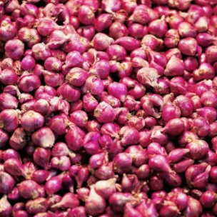 

HEMAT PROMO Bawang Merah Kecil 5 gr