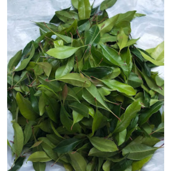 

Daun Cengkeh Seger Alami