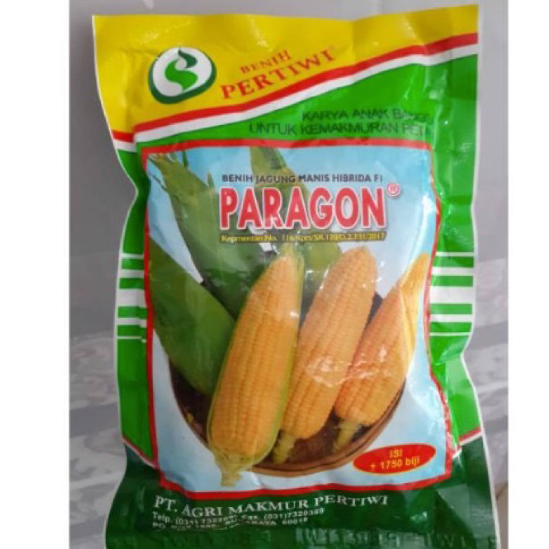 Paragon Bibit Jagung Manis 250GR