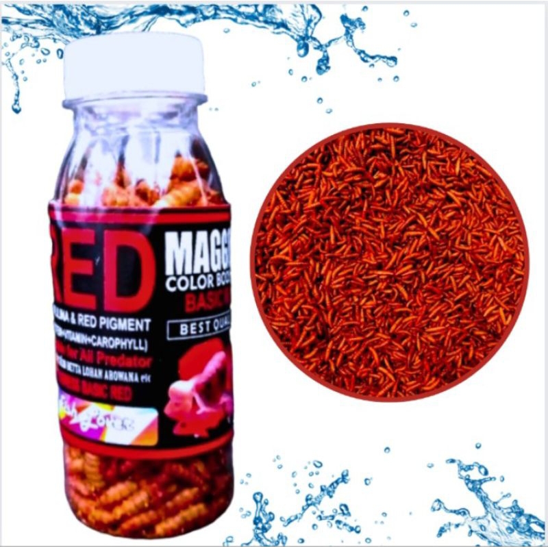 Makanan Ikan Predator Maggot Kering FISH LOVER RED BLUE YELLOW MAGGOT BOTOL COLOR BOOSTER 30gr
