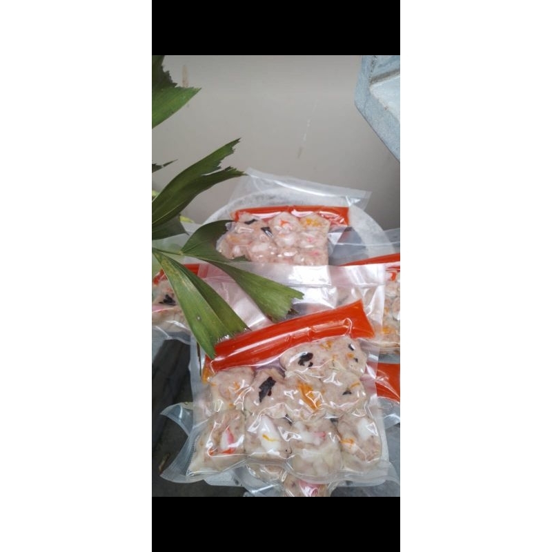 

dimsum vacum isi 10pcs