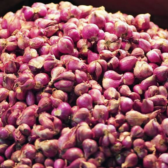 

PALING AMPUH Bawang Merah Super 5 gr