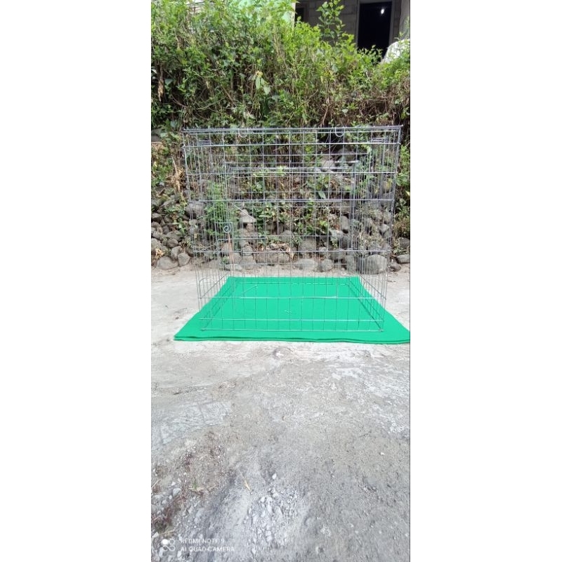 kurungan umbaran tenggaran ayam jago galvanis