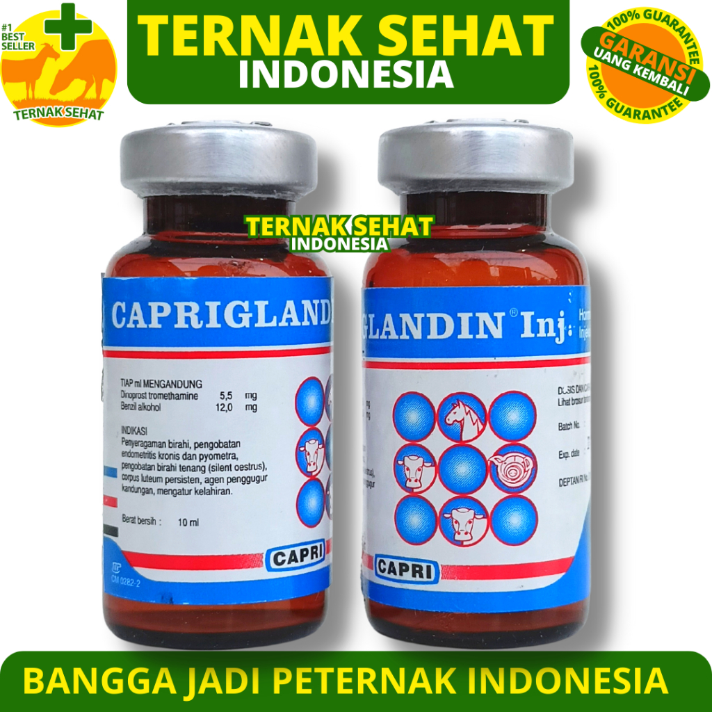 yochinn - CAPRIGLANDIN INJ 10 ml - Hormon Sinkronisasi Estrus Sapi Kambing Domba Kuda Babi
