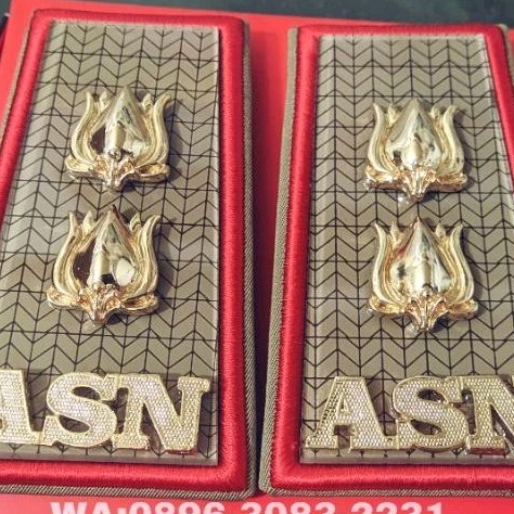 PANGKAT ASN SUMSEL 4A - PANGKAT ASN PEMPROV SUMATRA SELATAN GOLONGAN 4A