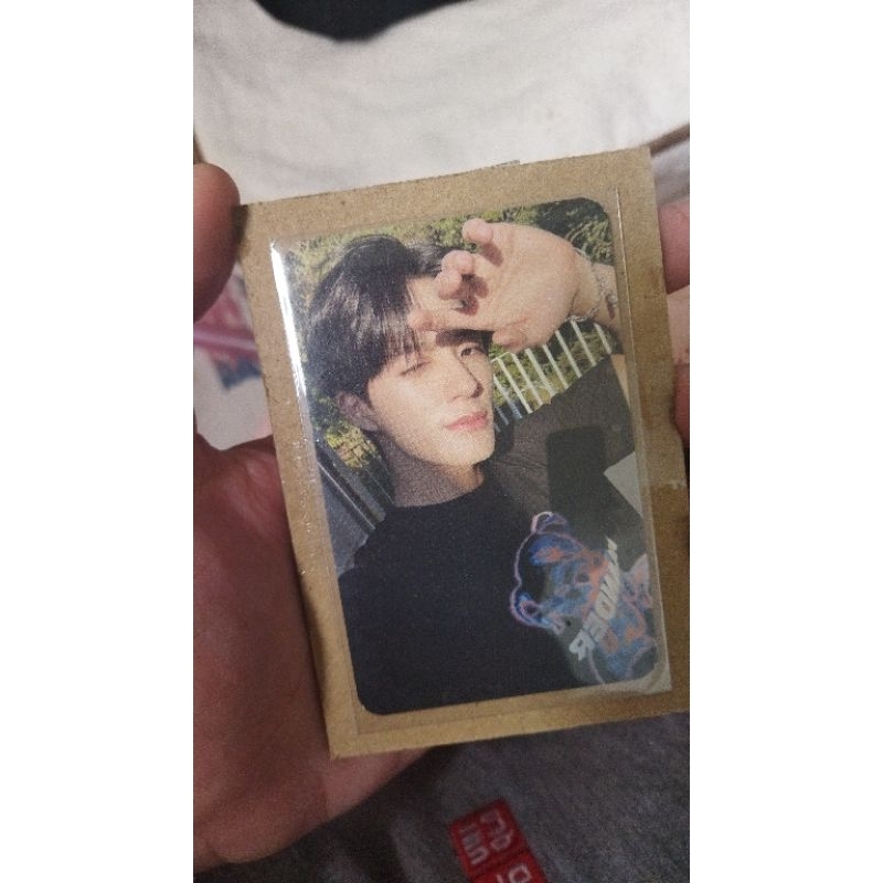 pc jeno teddy island