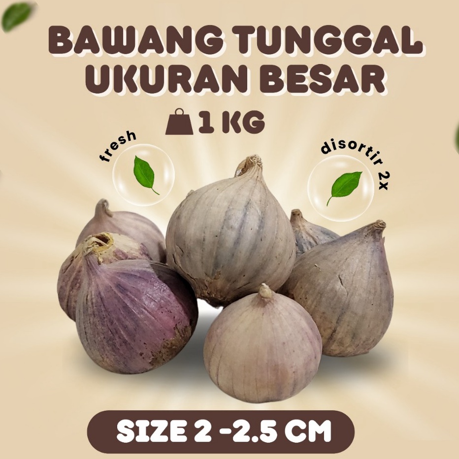 

1111 Bawang Putih Tunggal Lanang Besar 1KG