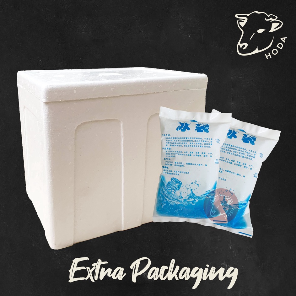 

Stok terbaru Extra Packaging Styrofoam Box 1 Ice Pack 4ml