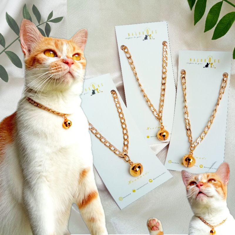 Kalung Rantai Hewan | Kalung Rantai Kucing | Kalung Rantai Anjing | Kalung Rantai Estetik