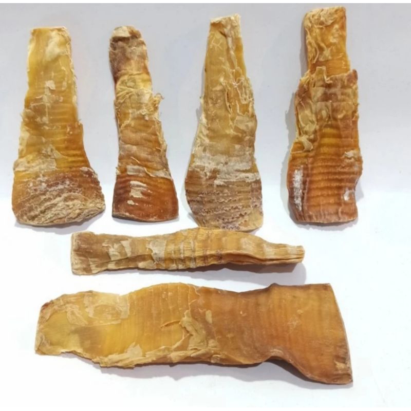 

Rebung Muda Import China Per 100g / Rebung Bambu Muda China per 100g