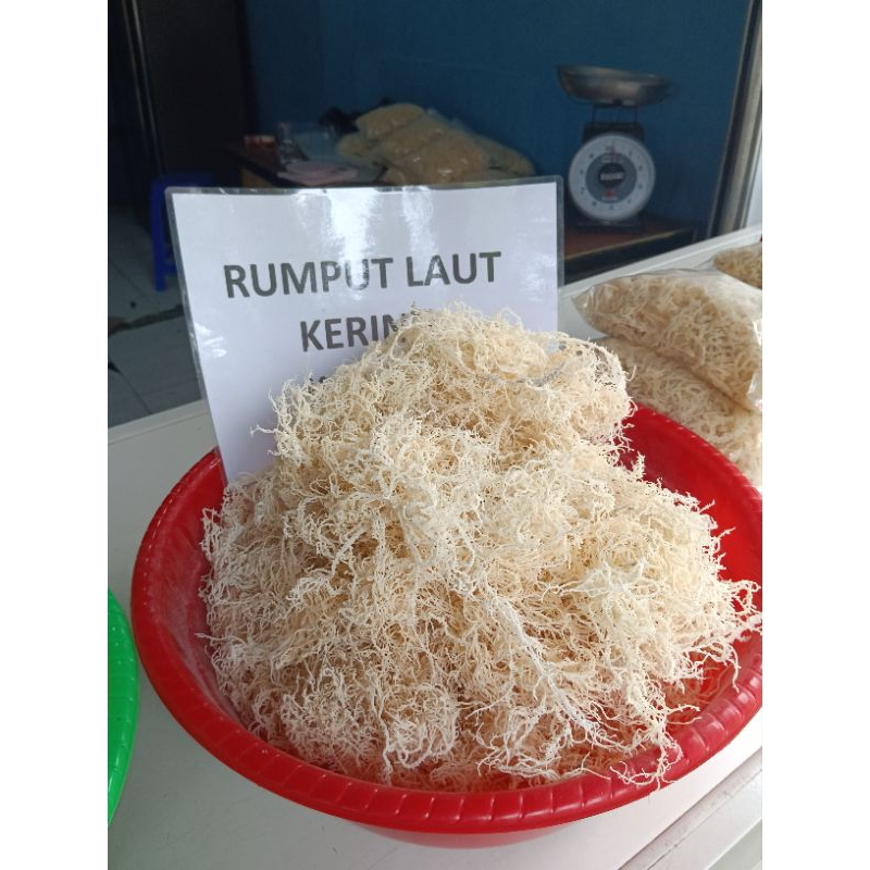 

1kg rumput laut kering normal_lembab