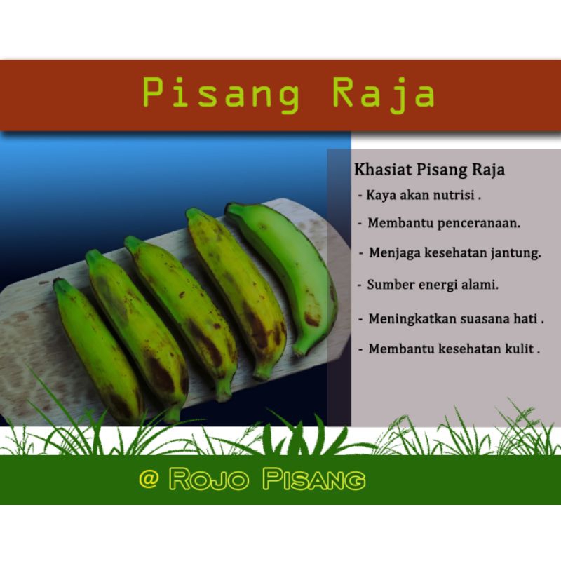 

Pisang Raja Asli & Berkualitas,Penawaran Spesial di shopee | Per buah