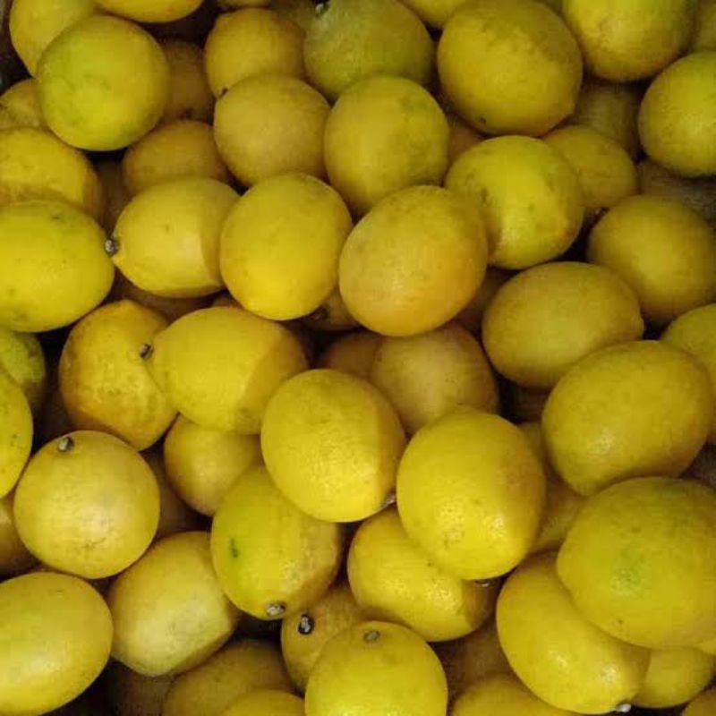 

Jeruk Lemon California