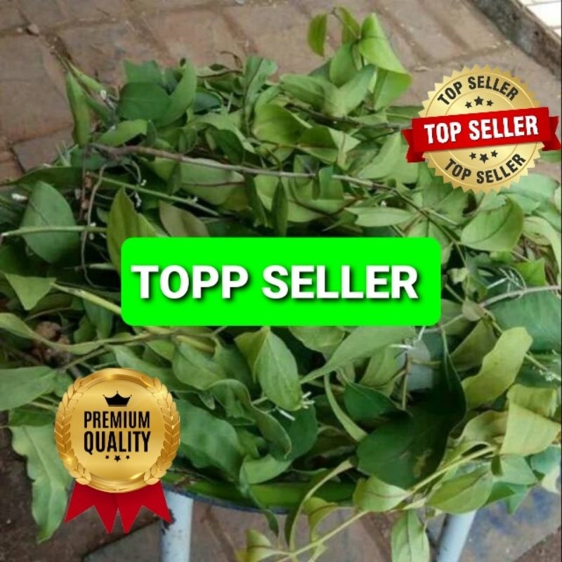 

Benalu Fresh/Segar Baru Petik 1000 Gram