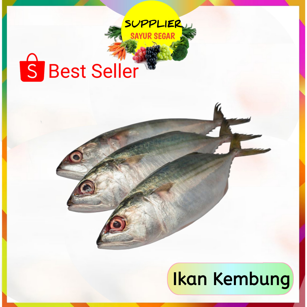 

Ikan Kembung 500 Gram - Segar Palembang