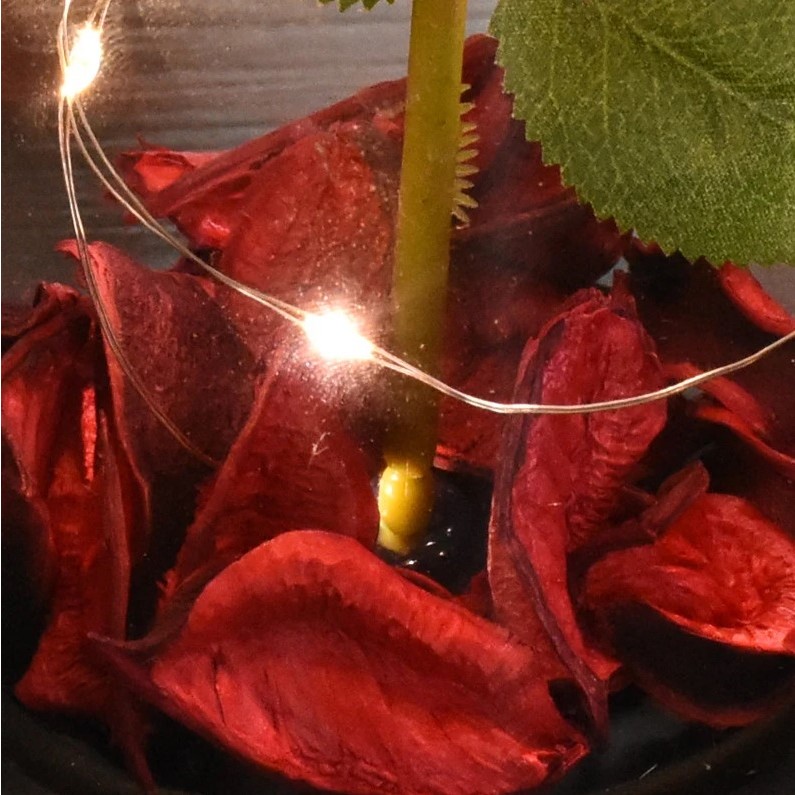 Lampu Hias Bunga Mawar Led Besar Dekorasi Gift Box Beauty and The Beast Rose Lampu Led Mawar