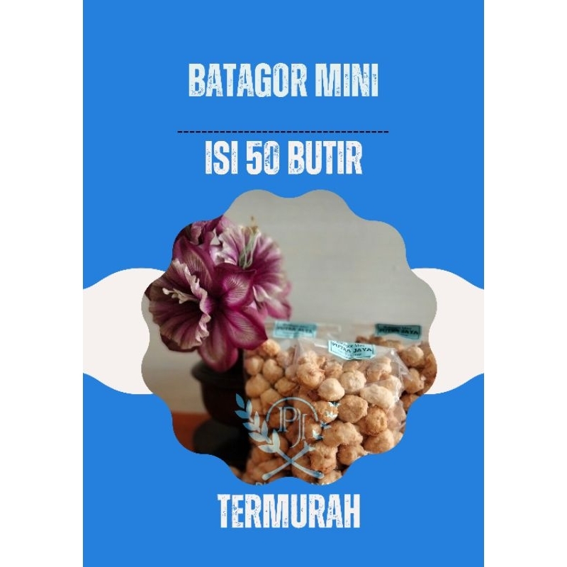 

Batagor Mini Kering Isi 50 butir
