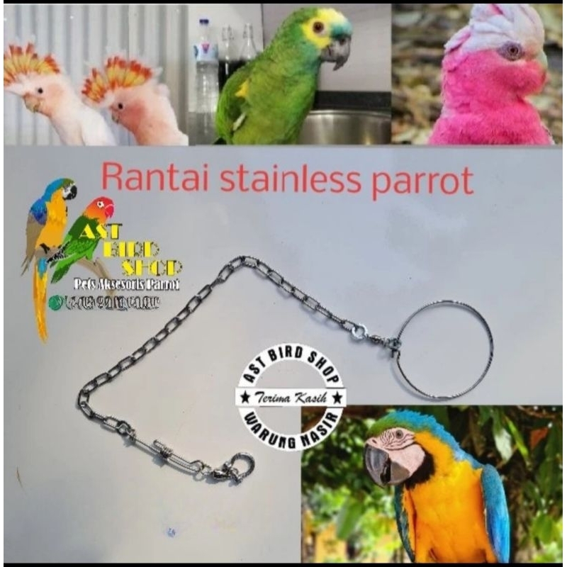 Rantai stainless macaw set ring omega sistem derat
