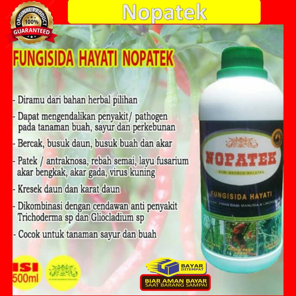 NOPATEK Fungisida Hayati Obat Hama Patek Cabe