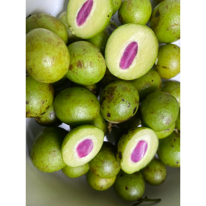 buah gandaria / gandario segar mentah