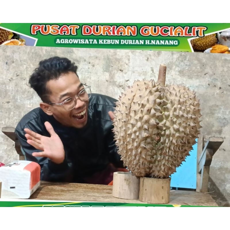 

DURIAN Montong Kani Khas lumajang Bobot 4 kg Sampai 8 Kg