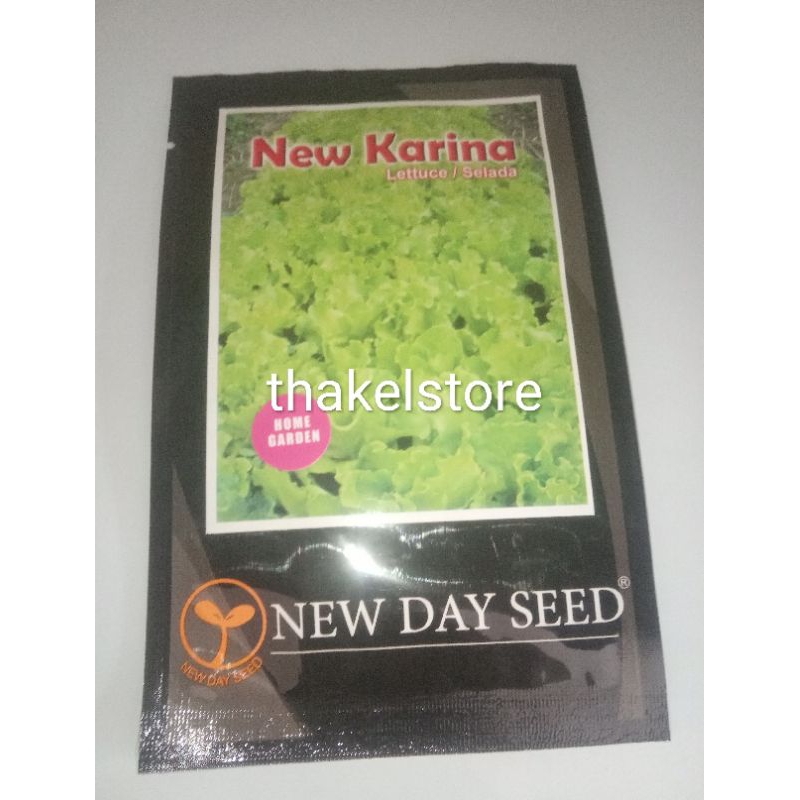 Benih bibit selada keriting hijau new karina new day seed