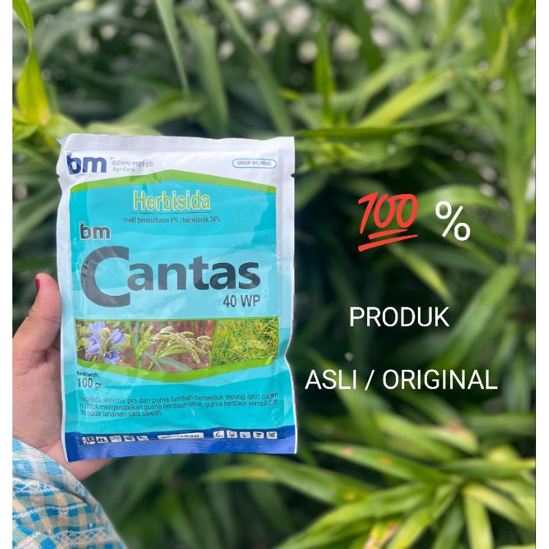 HERBISIDA BM CANTAS 40 WP