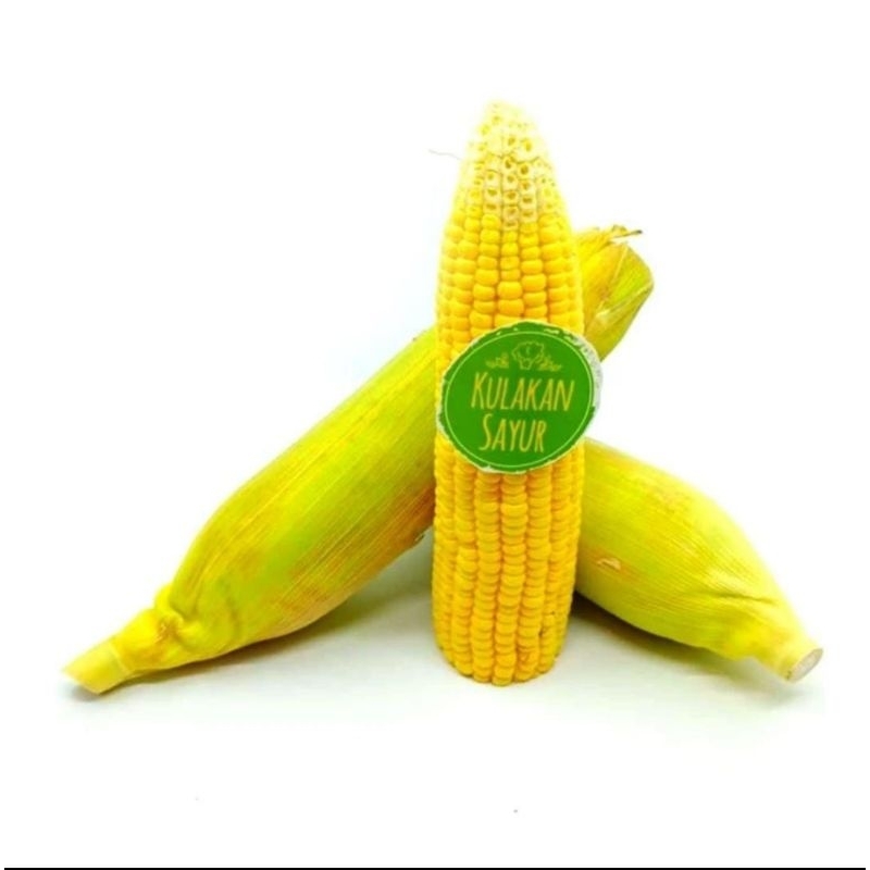 

Jagung Manis (Organik) 1kg