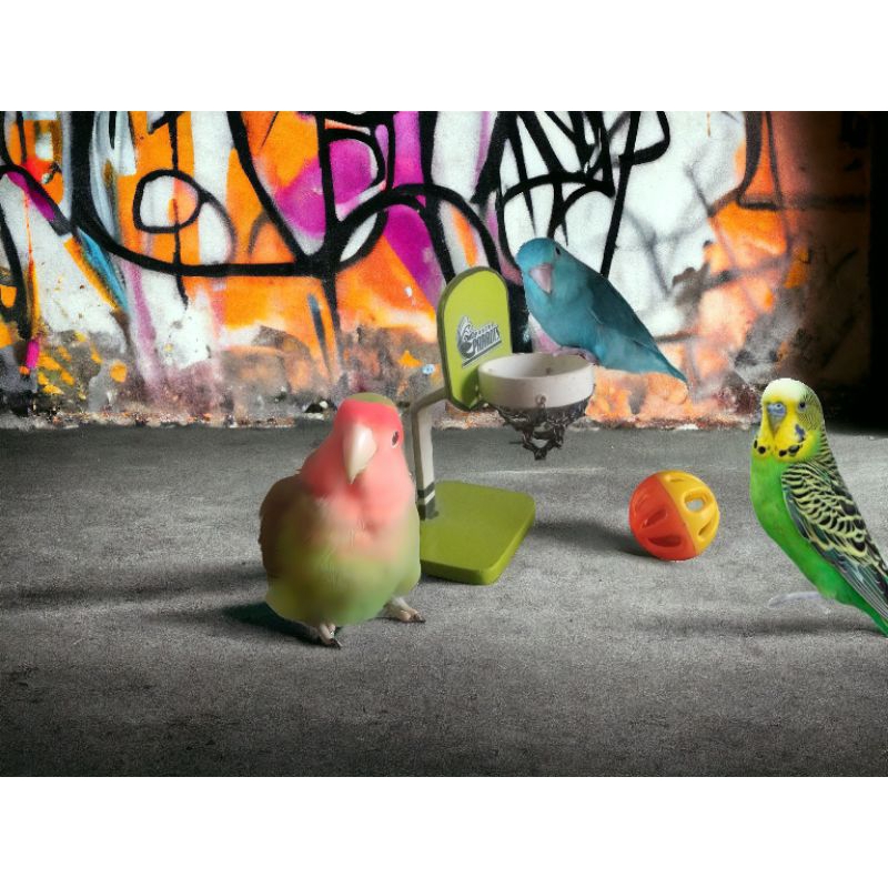 Alat Atraksi Burung Parrot