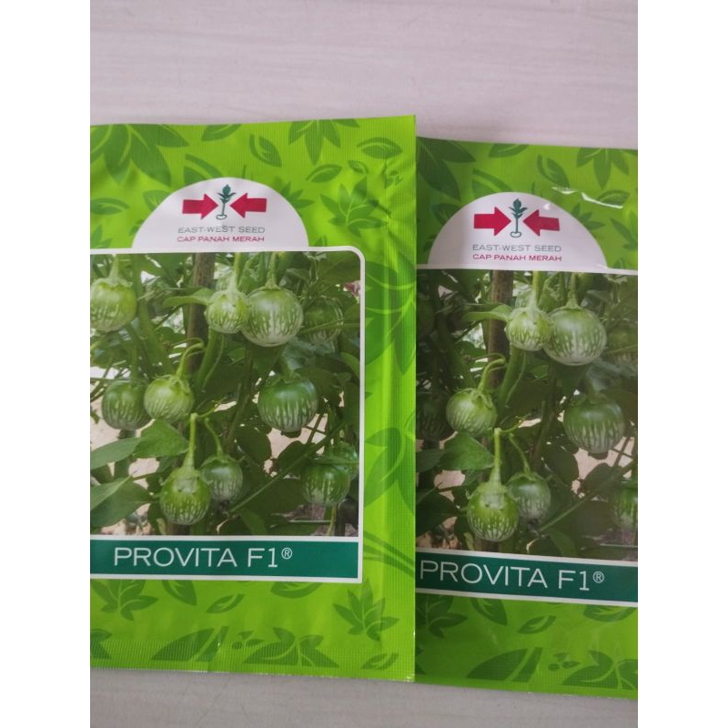 Benih Terong Lalap Hijau Hibrida Provita F1 1.100 butir - Cap Panah Merah