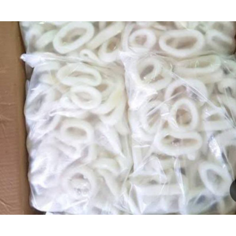 

ikan cumi | cumi bersih | cumi Ring | cumi ring +-500 gram | cumi bersih bandung |
