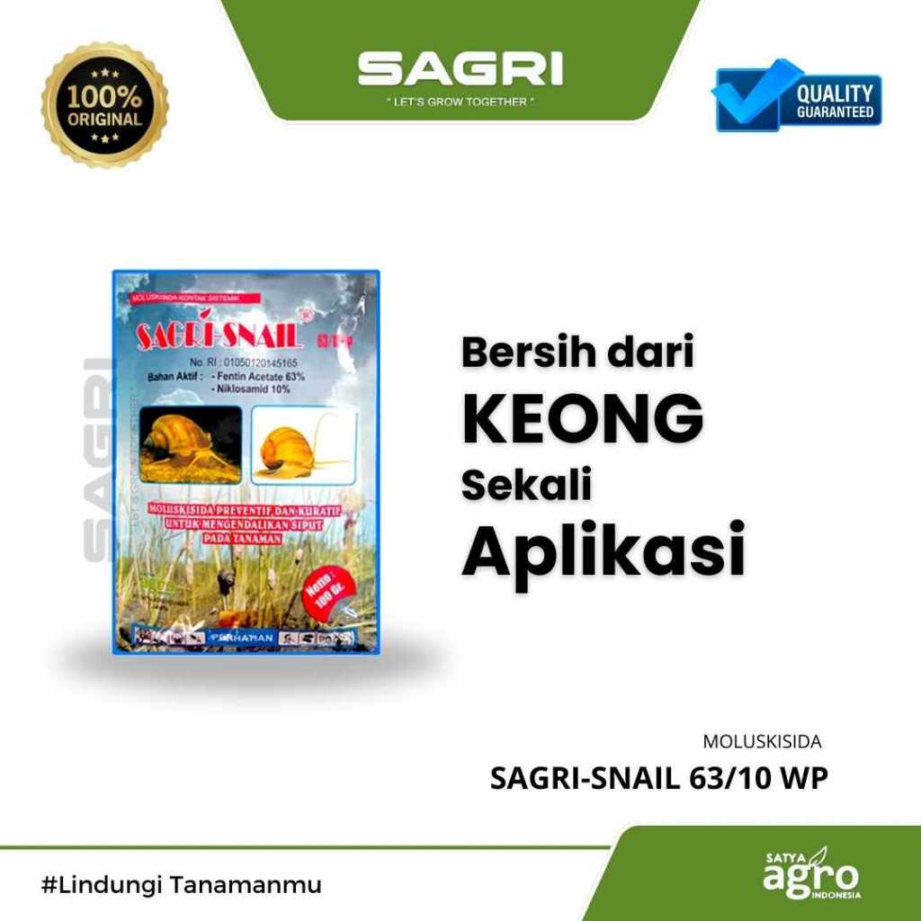 Sagri Snail