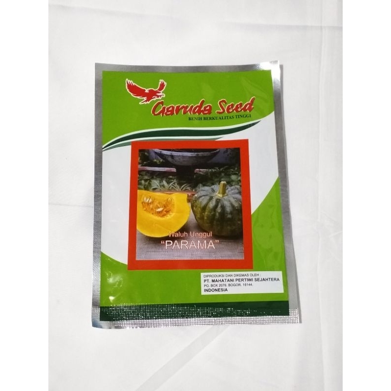 benih bibit labu kuning unggul isi 10gram /benih labu kuning unggul / bibit waluh kuning /benih sayu