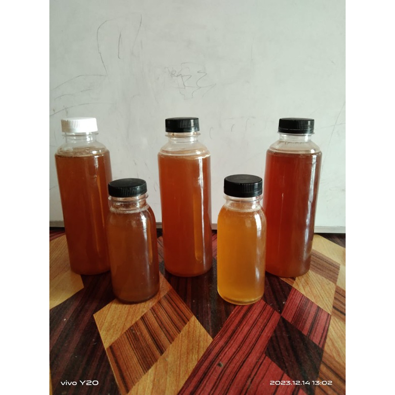 

madu kelulut