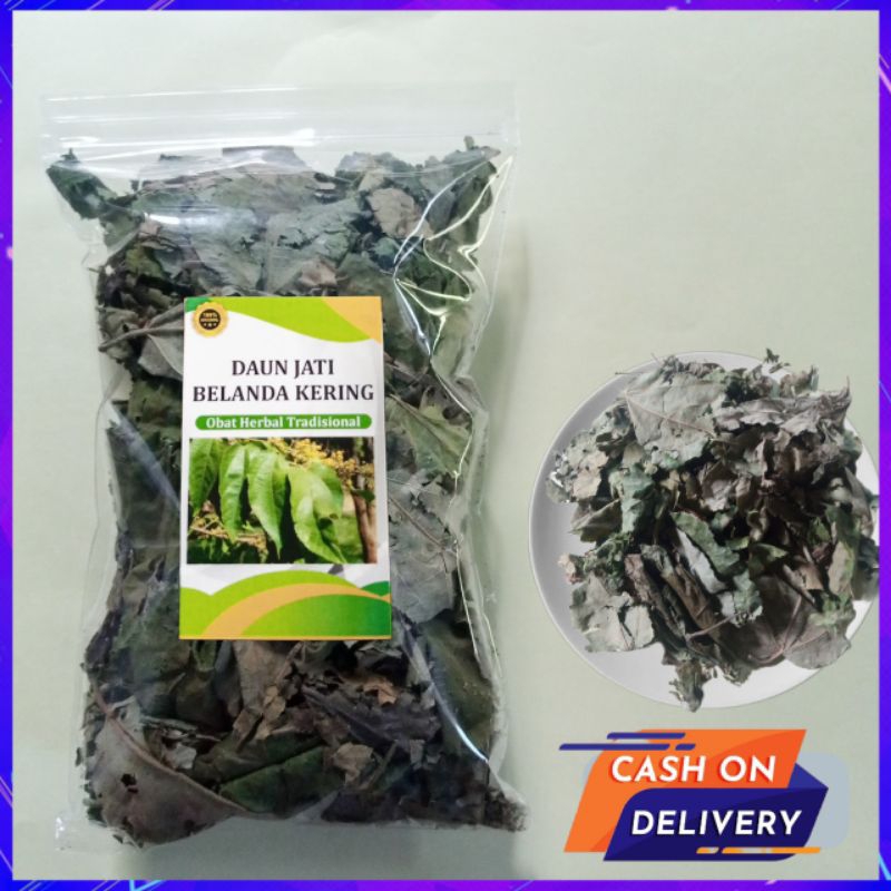 

Daun Jatibelanda Kering