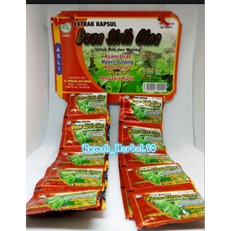 DAUN SIRIH CINA KAPSUL HANGER ORIGINAL