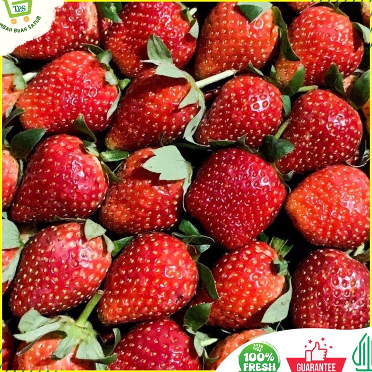 

KTBJ8854 FSASH SALE STRAWBERRY 1 KG BUAH STRAWBERRY STRAWBERRY FRESH KHUSUS SAMEDAY DAN INSTAN
