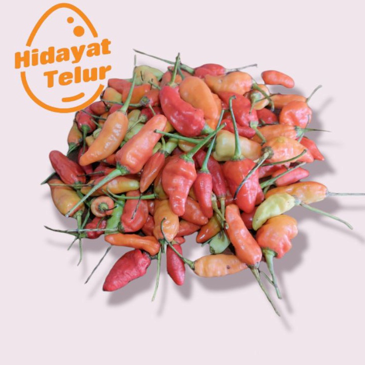 

QXLZ9597 COD NEWPRODUCT Cabe Cabai Rawit Merah Segar Kg