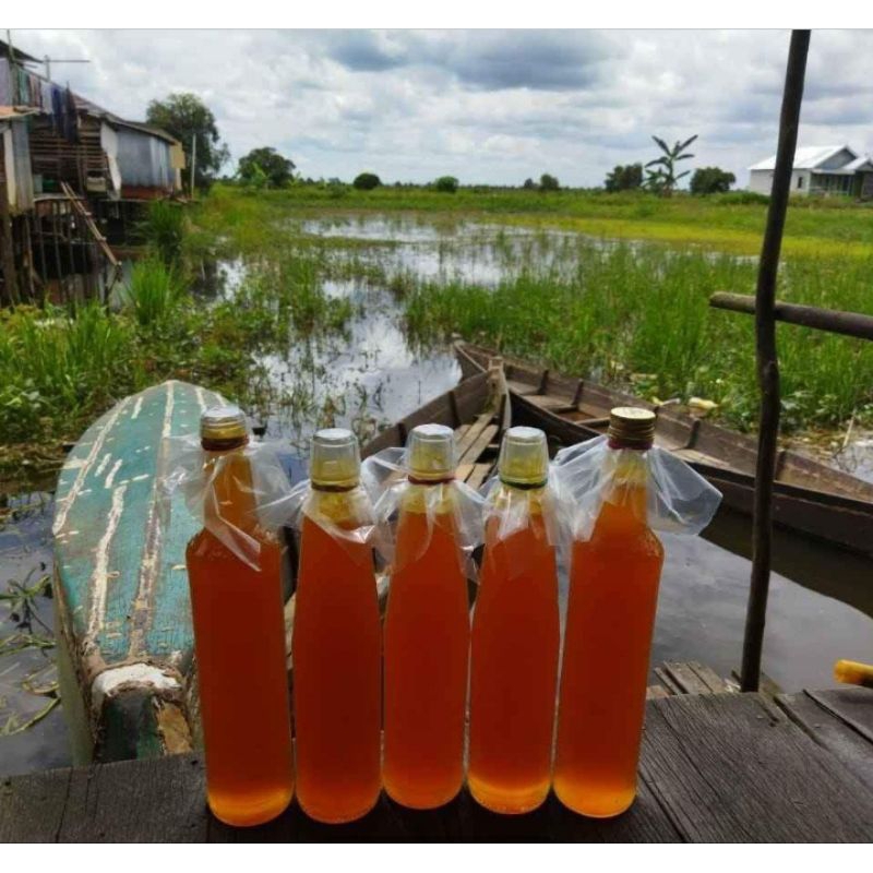 

Madu Hutan Asli Pedalaman Kalimantan