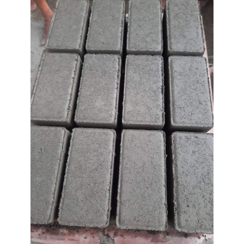 Paving Blok Bata press /paving bata model cacing