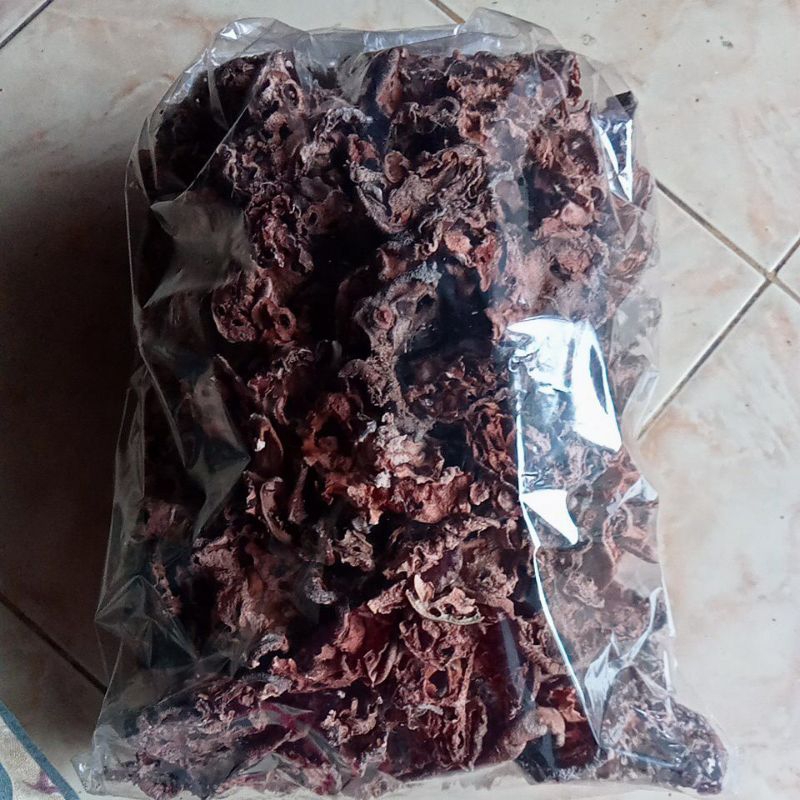 

Sarang Semut 100 gr