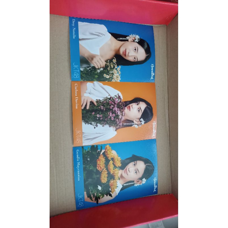 Official Photopack (PP) Flowerful JKT48 - Gen 11 (Daisy / Chelsea / Gendis)