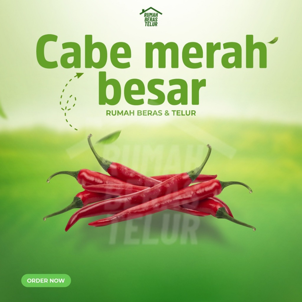 

Cabai Merah Besar